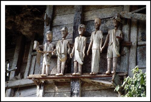 Toraja 7 - Tana Toraja, It's one of beautifull place in Indonesia. You should visit this place :-)