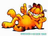 cat - garfield