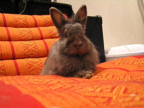 Marilyn sitting pretty - Marilyn at 6 months
