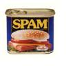 spam - this is a photo of spam