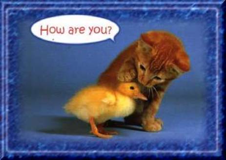 image -  friends image