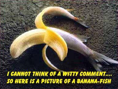 banana - banfish banana