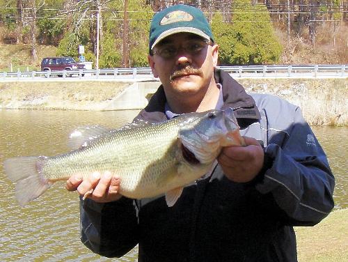 a sweet catch - CAUGHT ON 3/28/07 At about 1:40 pm From lake Redman, York, Pa.  CAught on red spinnerbait
