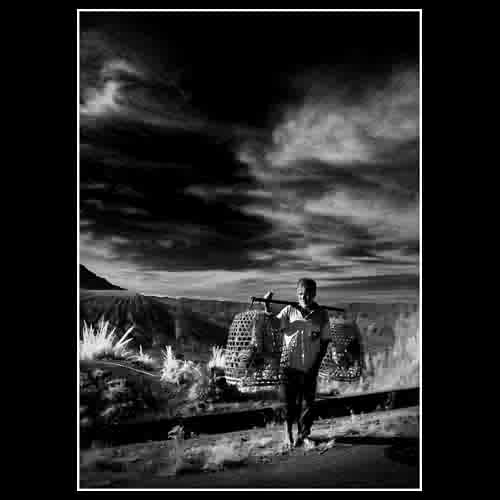 batur villager - daily activity of a common Balinese villager