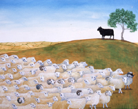 Black Sheep click me - There's one in every flock...lol   Black sheep were considered undesirable because their wool cannot be dyed. White is the preferred color for wool as it is most easily dyed and easiest to market.