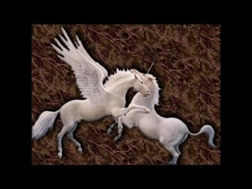 Unicorns  - I love pictures of Unicorns!