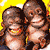 Laughing monkeys - Guess these monkeys had just heard the funniest joke in the world...
I got this GIF from www.messengerfreak.com