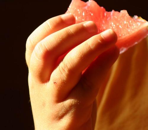 healthy food - healthy food bite
