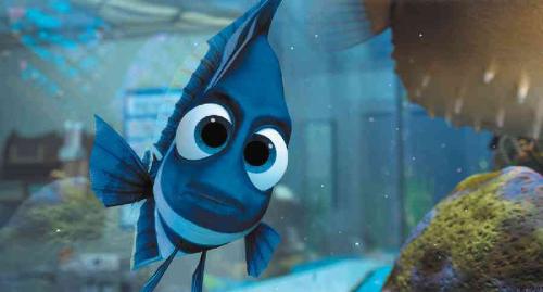 Finding Nemo - Finding Nemo movie