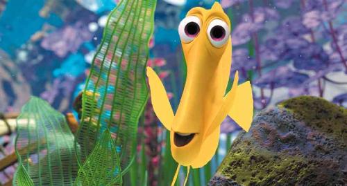 Finding Nemo - Finding Nemo movie