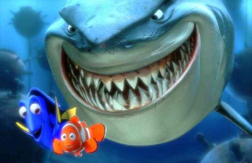 Finding Nemo - Finding Nemo movie
