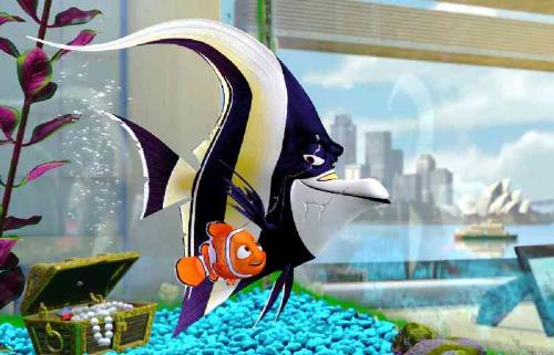 Finding Nemo - Finding Nemo movie