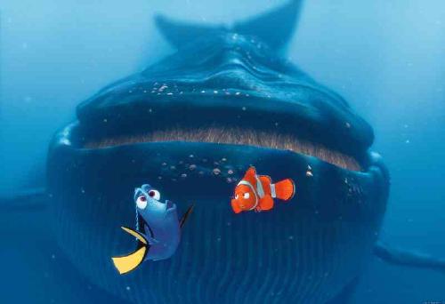 Finding Nemo - Finding Nemo movie