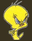 Tweety is annoyed.. And so am I.. - Tweety bird from warner bros. cartoon animation. Tweety is annoyed.. And so am I.. - Tweety bird from warner bros. cartoon animation.