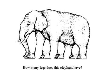 how many feet does this elephant have?? - is that 4 or how many????