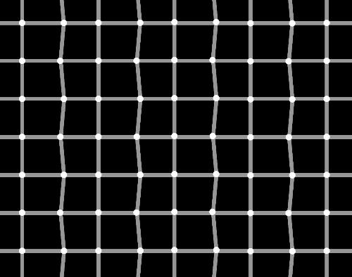 how many black dots are there??? - Can you count the black dots that you see??
