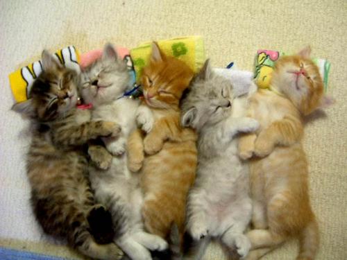 Group Hug! ^^ - Another image found by my friend on 4chan. I love these. xD