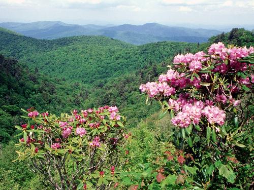 Nature Scenes - 11 - Most Beautyful Scene of Blue Ridge Parkway, North Carolina. I hope every one enjoy this high quality picture.  I must be appreciate very much, if any one tell something about Blue Ridge Parkway.  T. Nagaraju