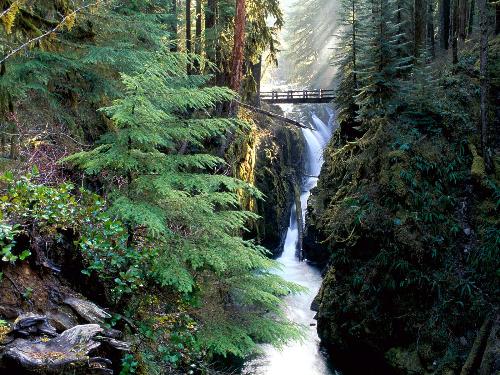 Nature Scenes - 12 - One of the Most beautiful Scene of Bridge Over Sol Duc Falls, Olympic National Park, Washington. I hope every one should enjoy this high quality picture.  I must be appreciate very much, if any one tell some thing about Olympic National Park.  T.Nagaraju