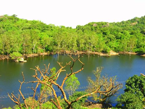Nature's beauty - its an example of Nature's beauty spreading all over India....the green trees...blue sky...clear reflection on water ...wow!! where can u get them all togather....???