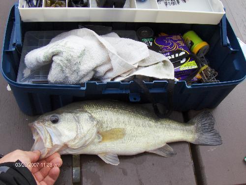 Bass N box - I placed this one along side my tackle box to try to give an idea of its size