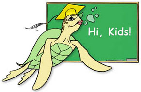teacher turtle - The teacher turtle.