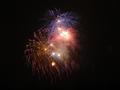 Fireworks - Gorgeous bright lights in the dark sky.