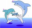 dolphineS!!! - they are next to humans in enjoying s*x!!!!
