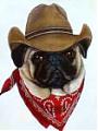 cowboy pug - i love pugs!