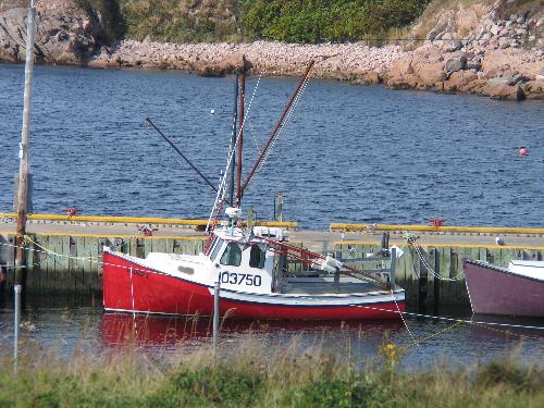 red ships - hope floats