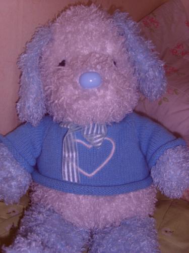 Lobo - this is lobo, my mahal gave me this..