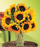 Sunflowers - I just love sunflowers, my kitchen is decorated in them!