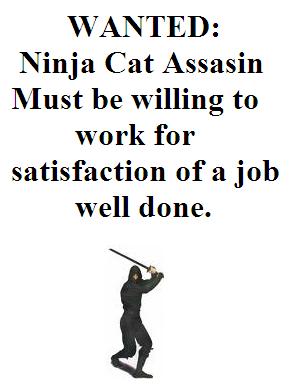 ninja cat assassin - Ninja Cat Assassin