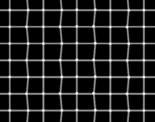 How many black dots do u see?? - Can u guess how many black dots are there???