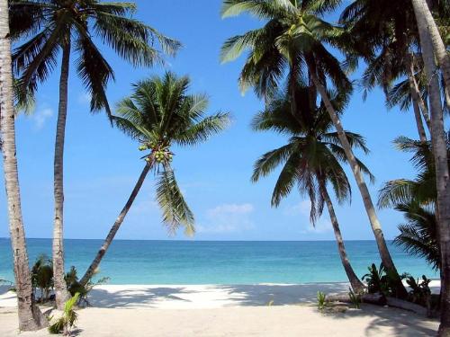 Boracay Beach Resort - Boracay Beach Resort..