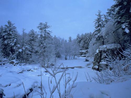 Snowfall - Playing wid snow