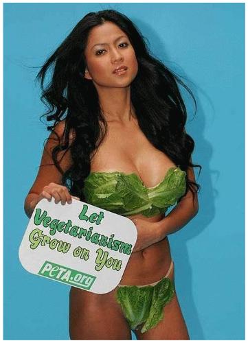 Vegetarianism - Let Vegetarianism Grow on you.