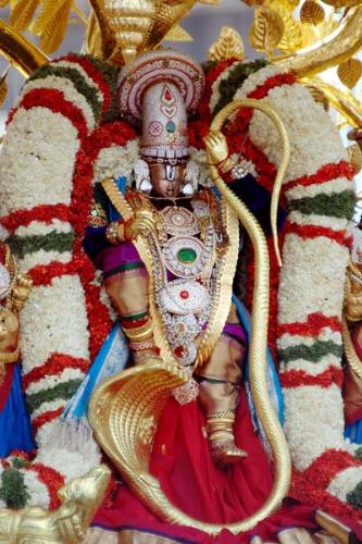 lord venkateshwara - Lord venkateshwara ,the lord of seven hills is one of the famous gods in the world.Taken on any day you will find 50000 people.Every day lot of programs take place there.It is the richest god in the world.It is so powerful and it is being there for several years.I strongly feel that everyone should visit atleast once in thier life time and have the darshan of lord.The ornaments and the diamonds on the god will cost around some 1600 CRORES.