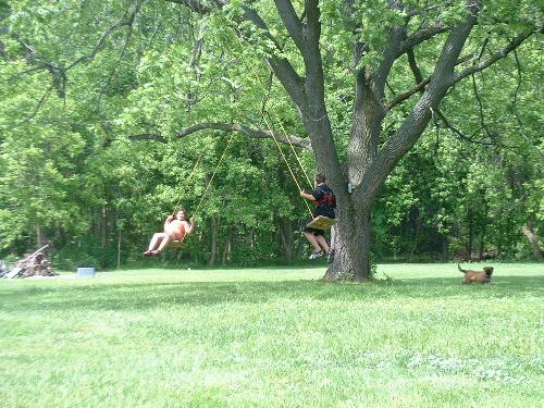 My kids - in their swing tree