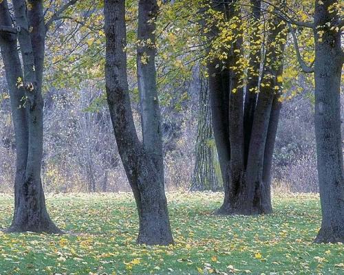 Beautiful Natural scene - WOW... What a beautiful natural scene !!!!