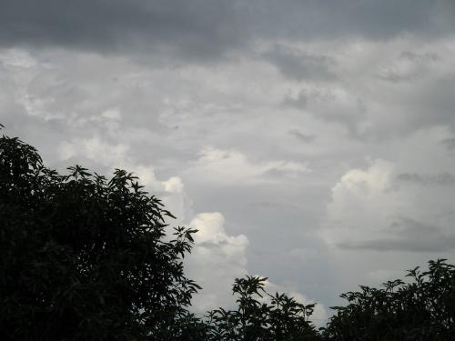 another one before rain - the another photo of clouds