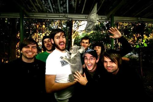 Silverstein - KOALA'S ARE SO CUTE! (this one pooped on billy's shirt!)