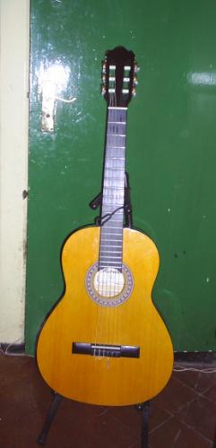 The Herald - The nylon acoustic Herald