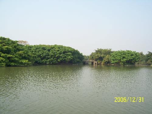 Birds' paradise - a famous place where there are many many birds