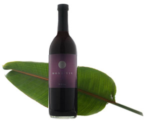 MonaVie - A Beautiful& Classy Look - amazing taste, numerous health benefits, and easy& fun money making opportunity