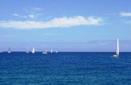 Sailboats off Hawaii - Collection of sailboats off the coast of Hawaii
