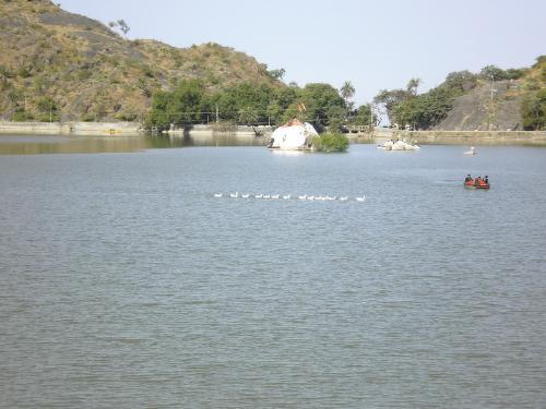 Life on Nakhi Lake, Mount Abu India - THis is a photo taken at Mount Abu, a well known tourist point of Rajasthan, India! This is Nakhi lake and people used to do boating and there are water birds also!  Here boating is on and the water birds are still swiming naturally in aline like army!