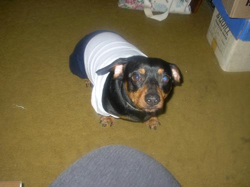 Weenit - Weenit after surgery