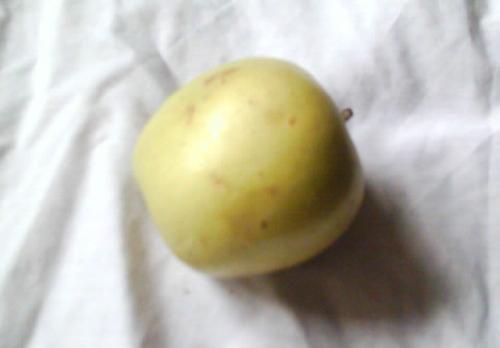 apple - Green apple:) fruit :)