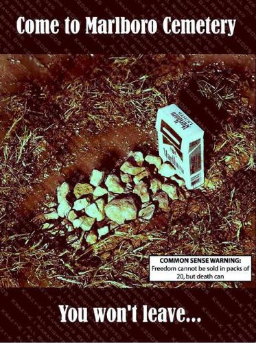 Anti Smoking Poster - Excellent Anti Smoking Poster